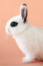 PUBG首次降落BW， 丰富互动体验赢好礼！